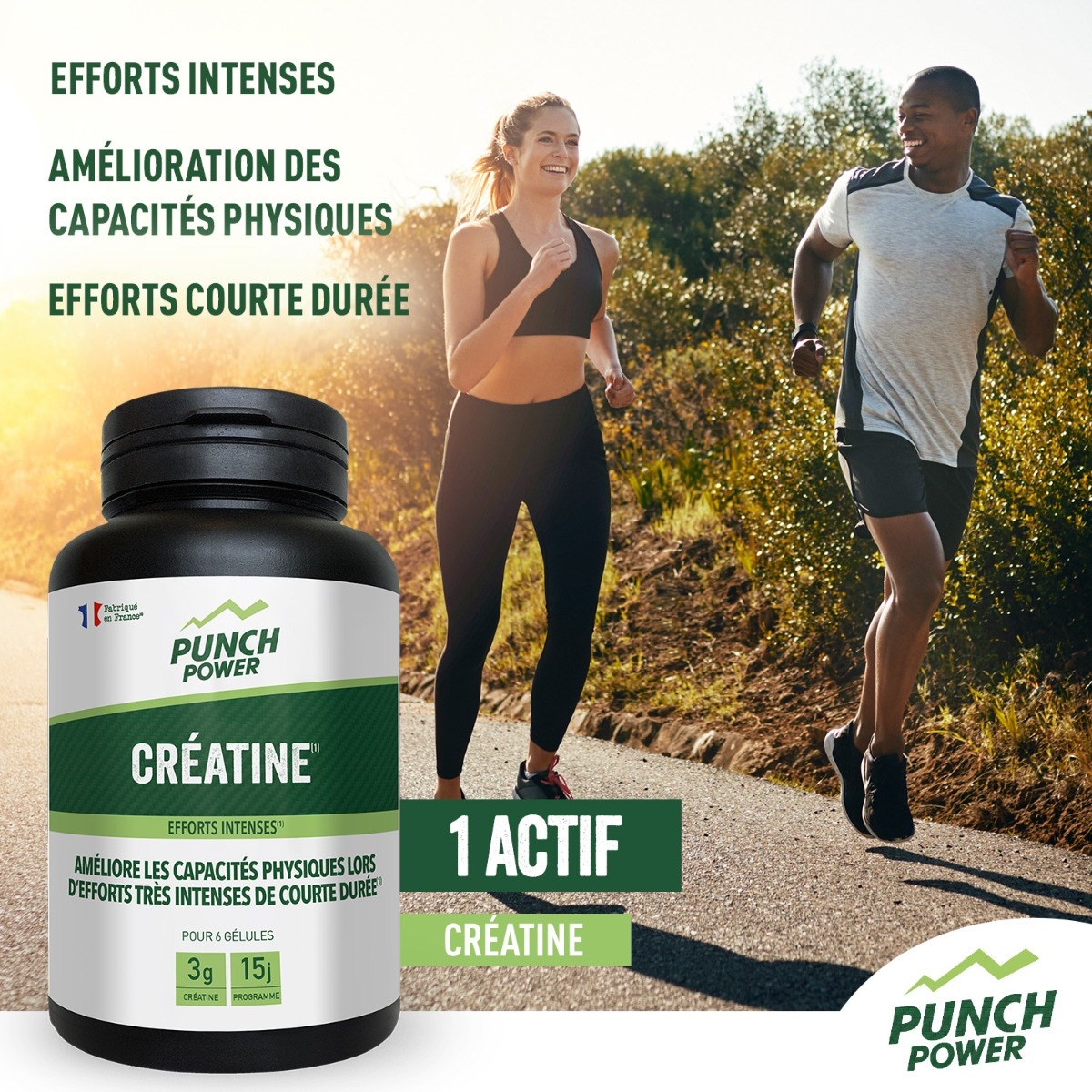 Créatine 