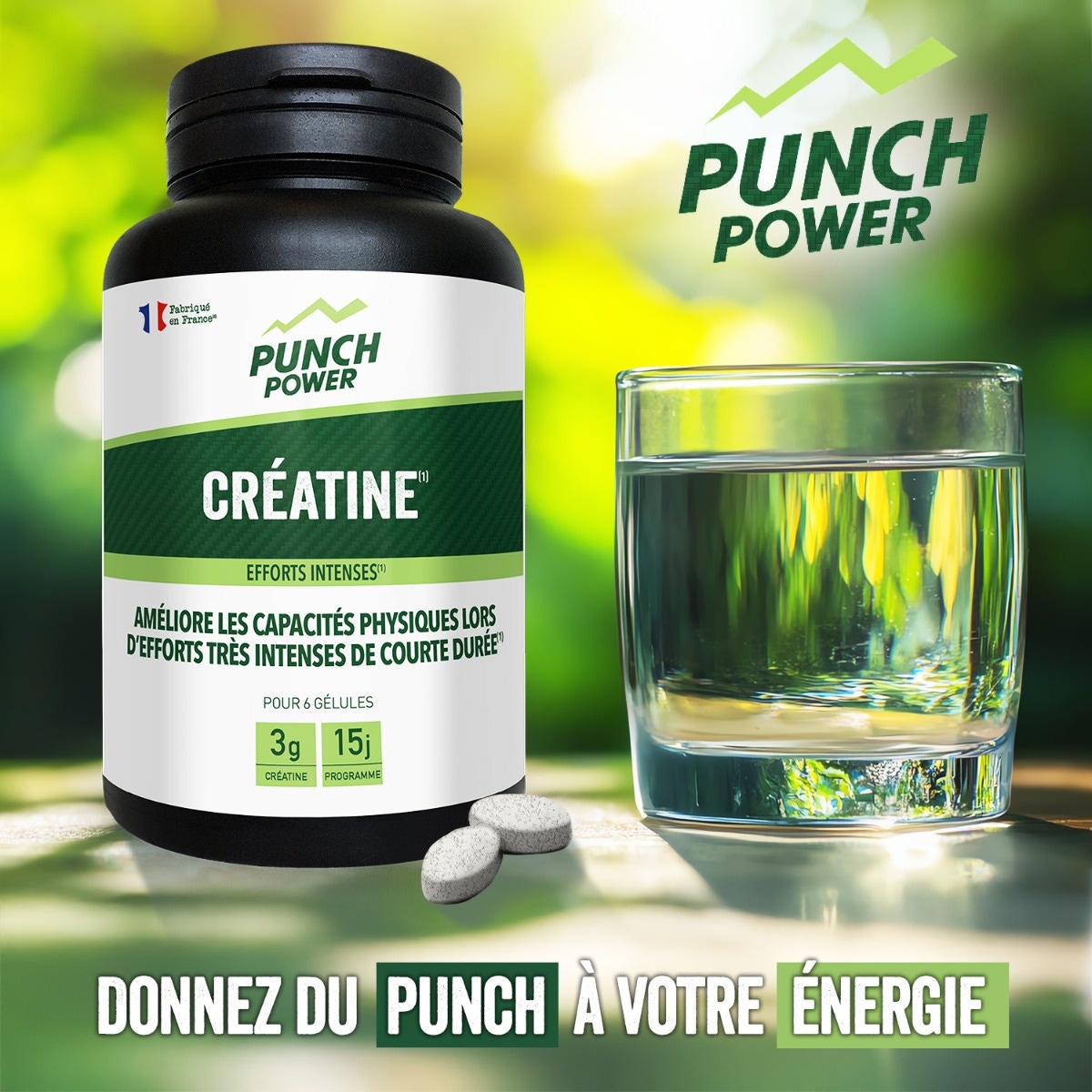 Créatine 