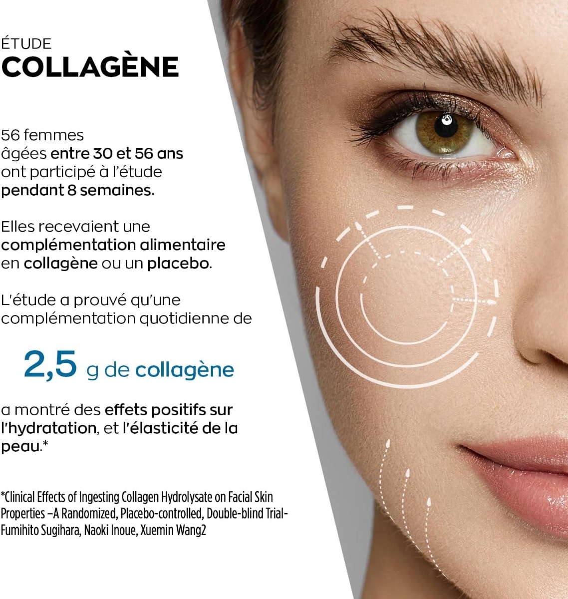 Etude sur le collagène 