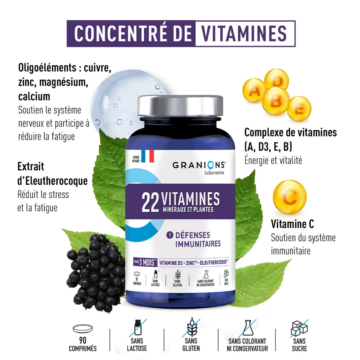 22 vitamines et minéraux-Vitamine A, B, C, E, D3 - Oligoélément, Zinc, Sélénium