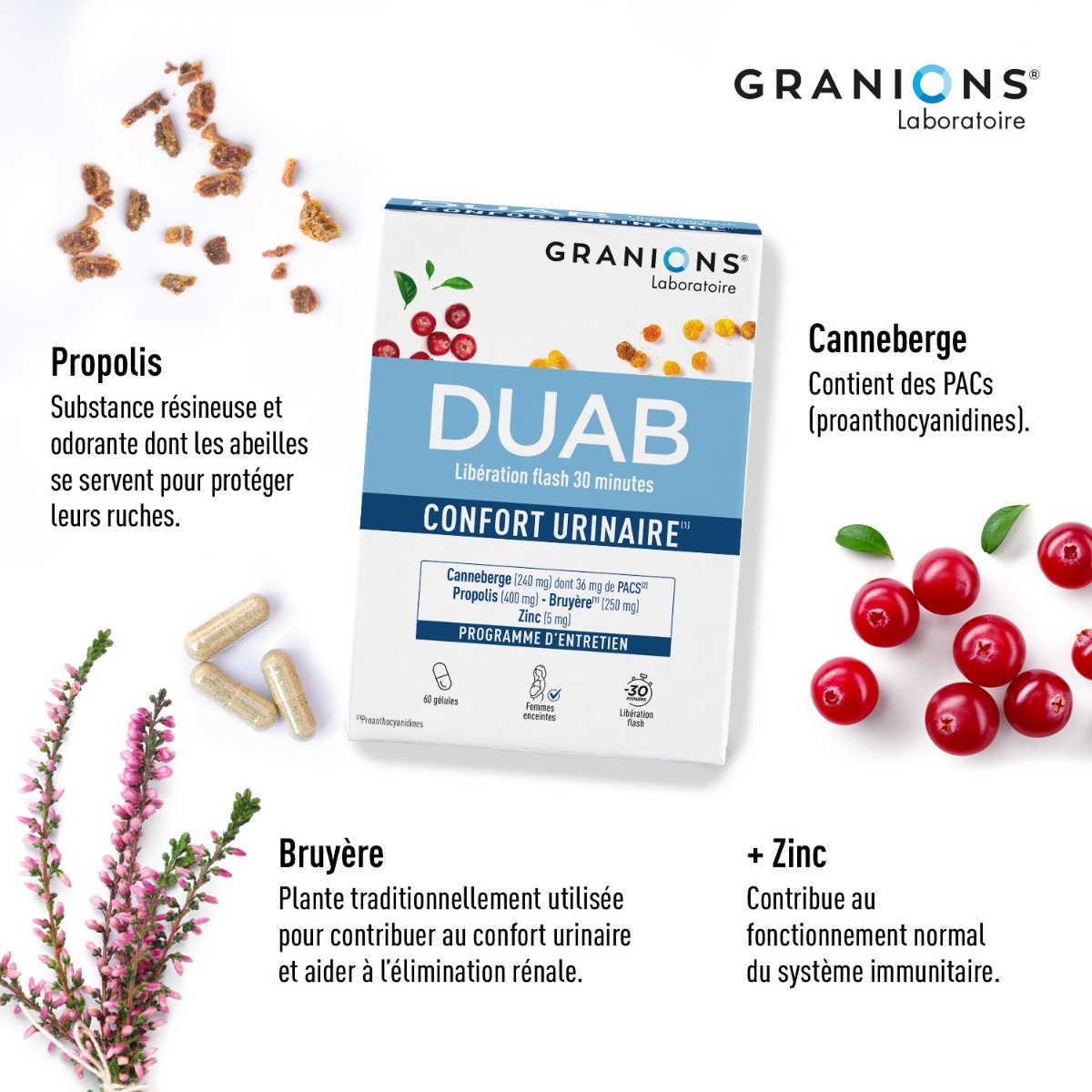 Duab - Inconfort Urinaire - Cranberry - Propolis - Zinc