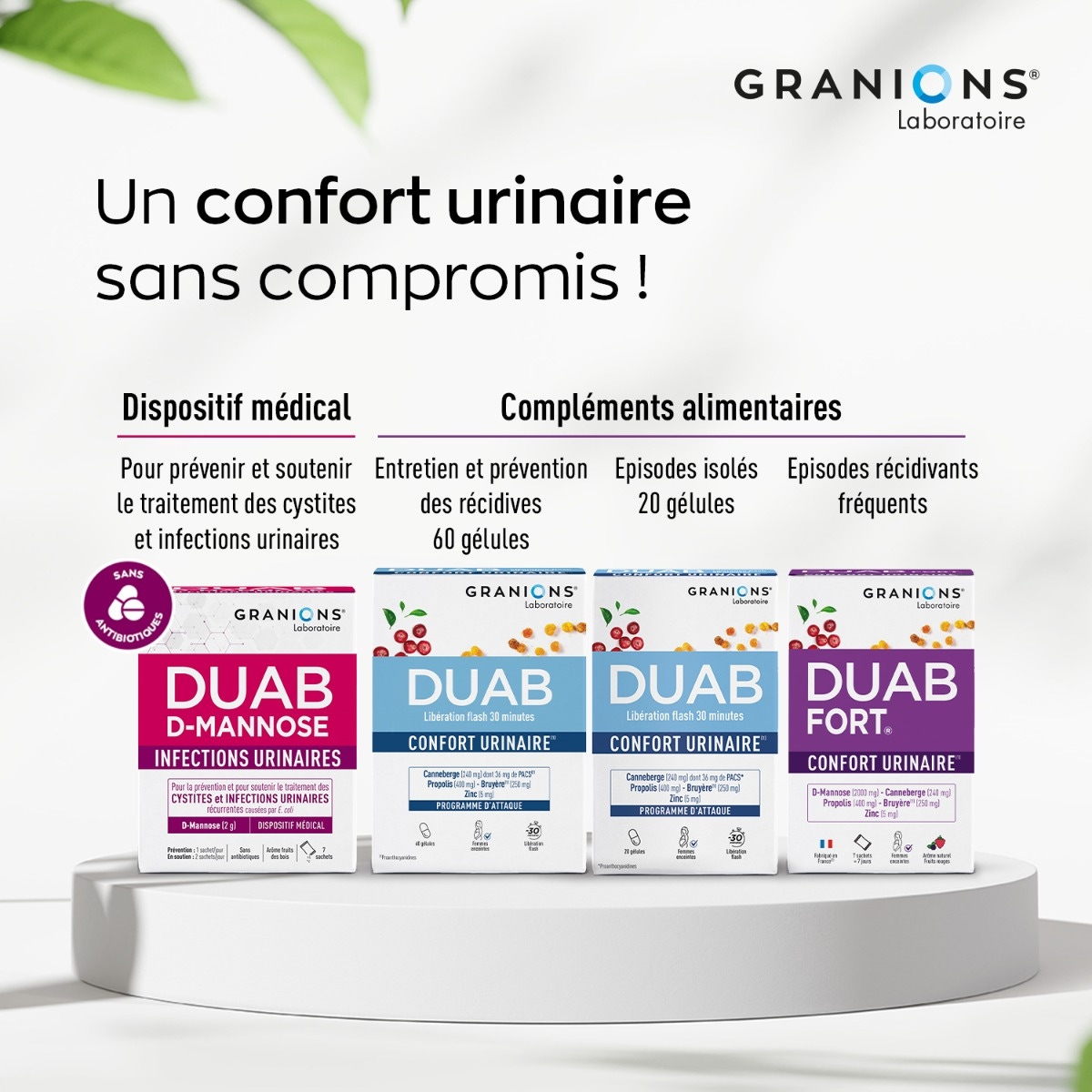 Duab - Inconfort Urinaire - Cranberry - Propolis - Zinc