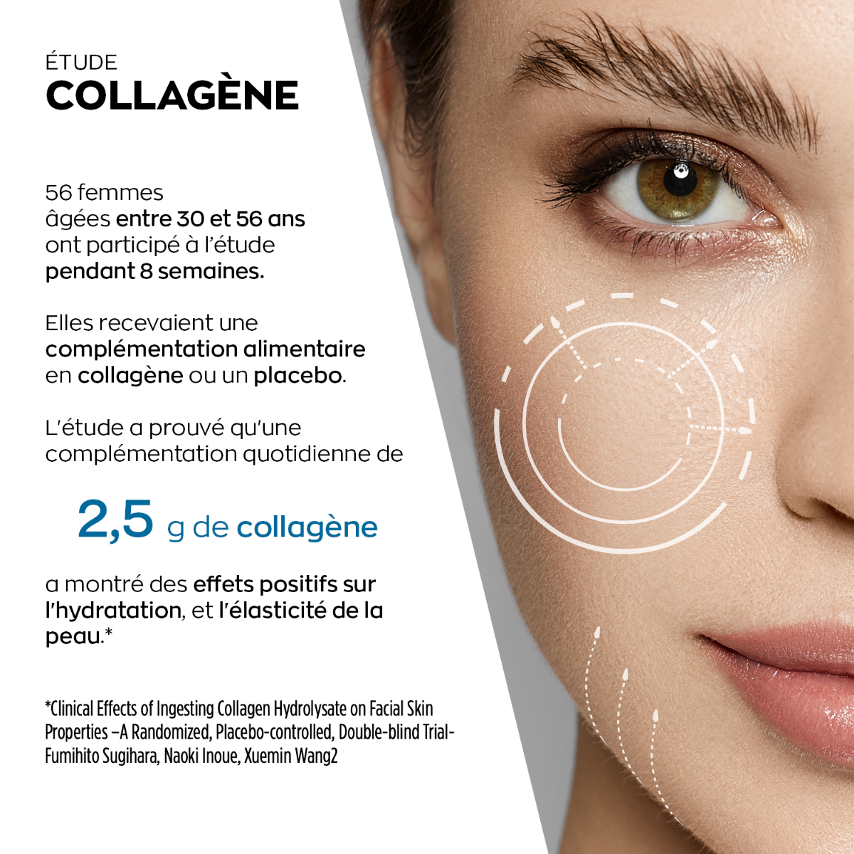 etude collagène