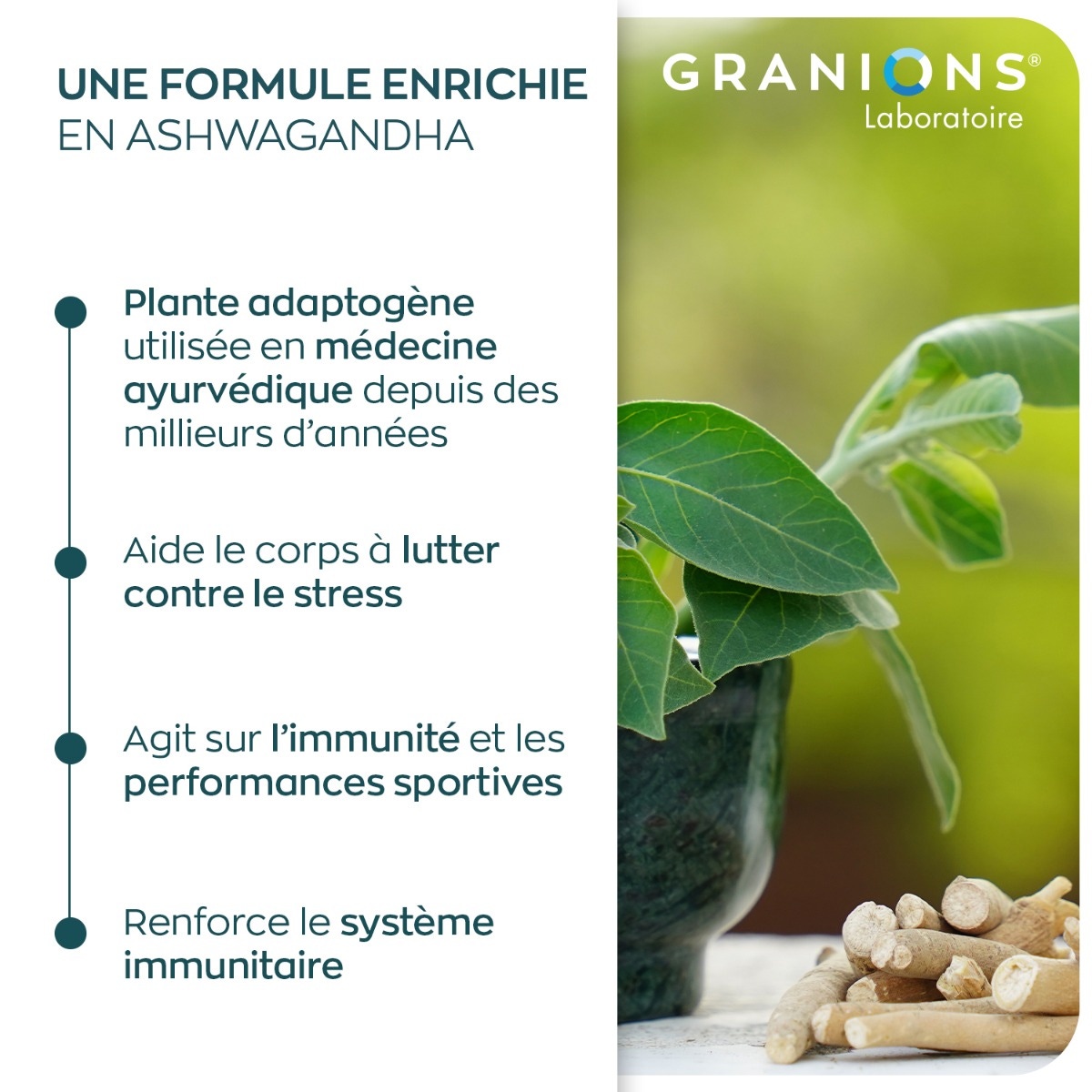 Les plus des Gummies de Shilajit Granions
