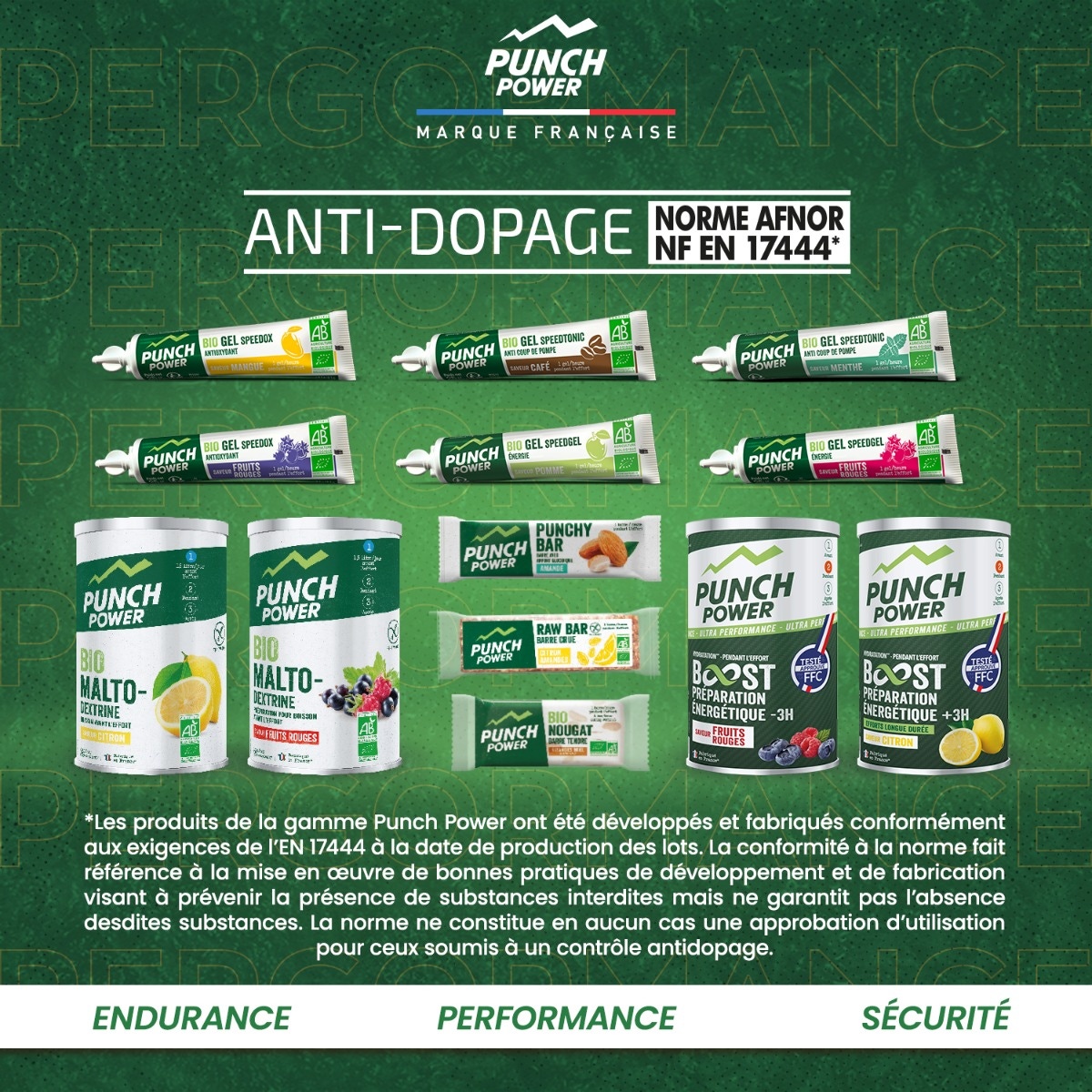 Power Malto Citron 500G